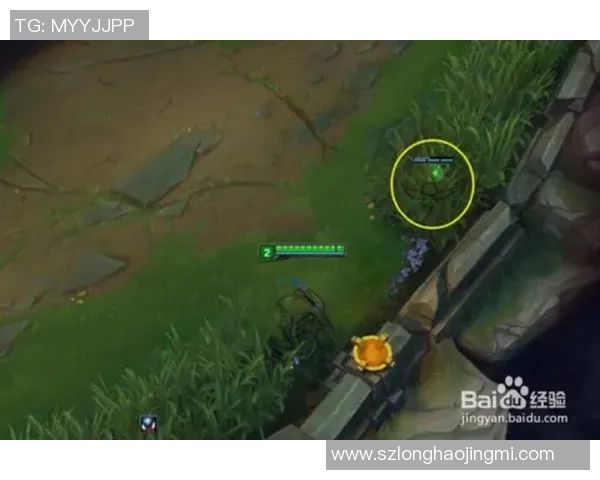 HLE战队野辅卡视野完美绕后ZEUS雷克赛成功拿下首杀荣耀 HLE战队野辅卡视野完美绕后ZEUS雷克赛成功拿下首杀荣耀